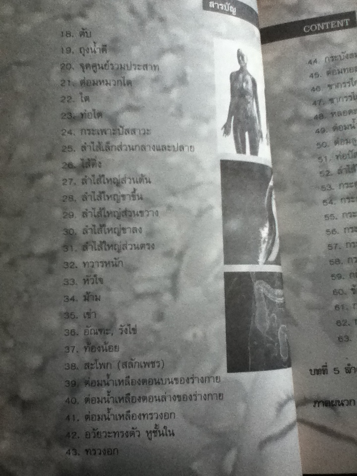 กดจุดหยุดโรค