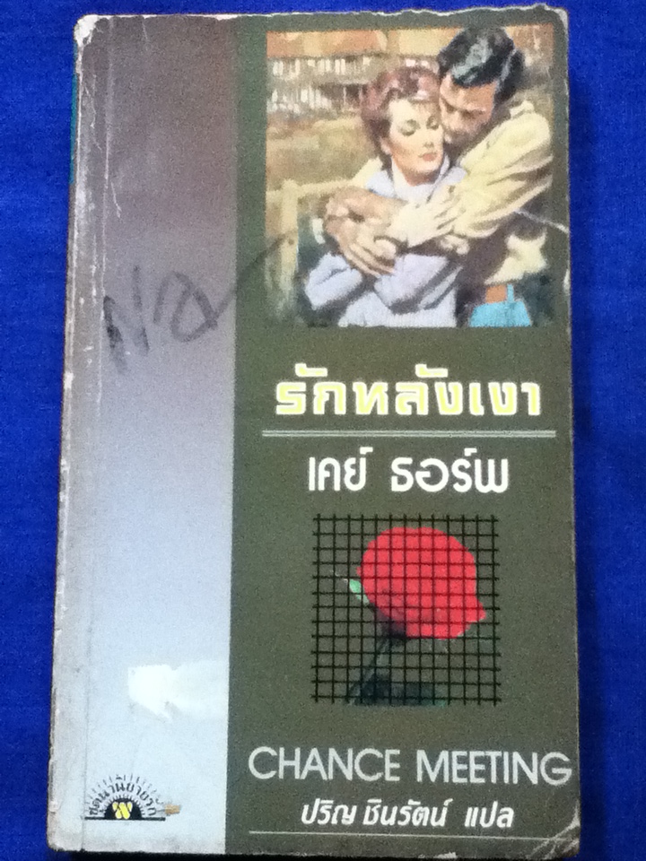 รักหลังเงา