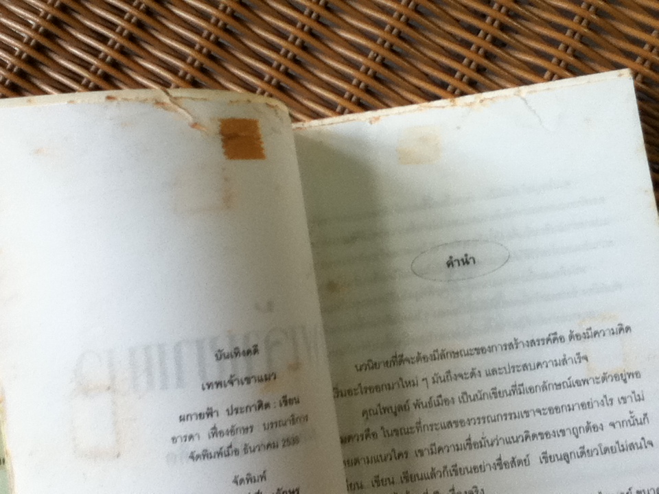 เทพเจ้าเขาแมว/ ผกายฟ้า ประกาศิต