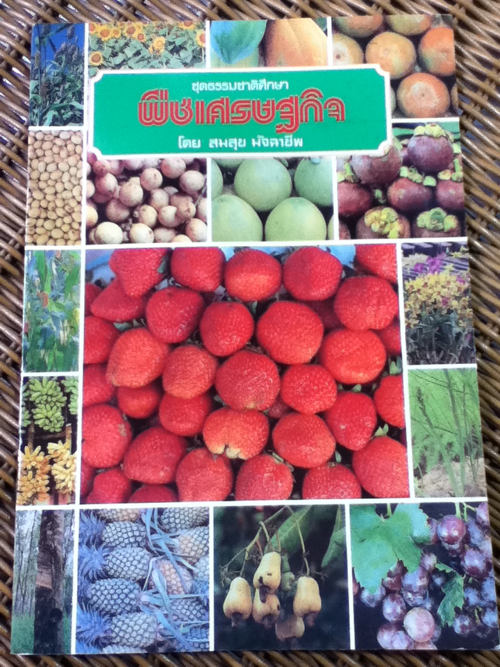 พืชเศรษฐกิจ (หนังสือแถม)