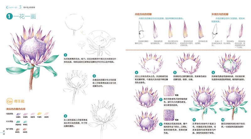 (Pre-order) หนังสือสอนระบายสีไม้ภาพดอกไม้สำหรับระดับเริ่มต้น Life is a flower