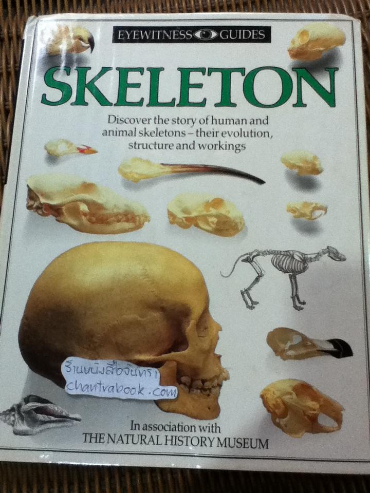 EYEWITNESS GUIDES 9 เล่ม