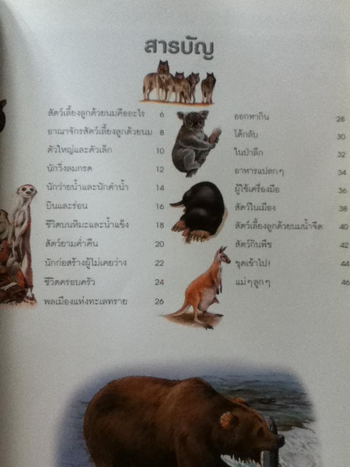 100 เรื่องน่ารู้เกี่ยวกับสัตว์เลี้ยงลูกด้วยนม/ จินนี จอห์นสัน