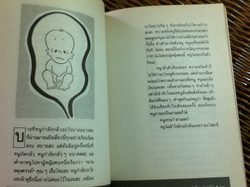 หวัดดีฮะ หนูอยู่นี่/ วิลลี่ ไบรน์โฮลส์ท/ วัชระพันธุ์ จันทรขจร ผู้แปล