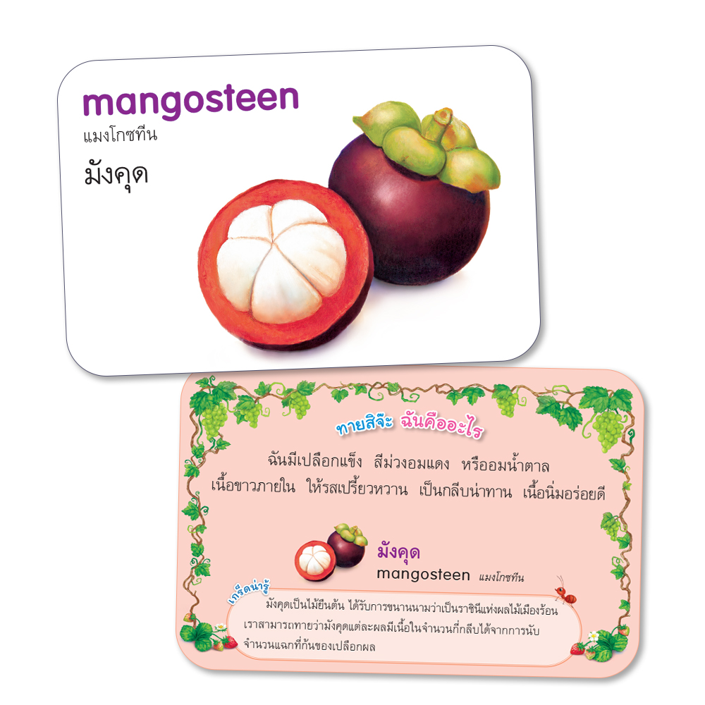 Book World Flash Card สื่อการเรียนรู้ บัตรภาพผลไม้ 2 ภาษา (ไทย-อังกฤษ) พร้อมปริศนาคำทายให้เด็กเล่นทายชื่อผลไม้ NEW