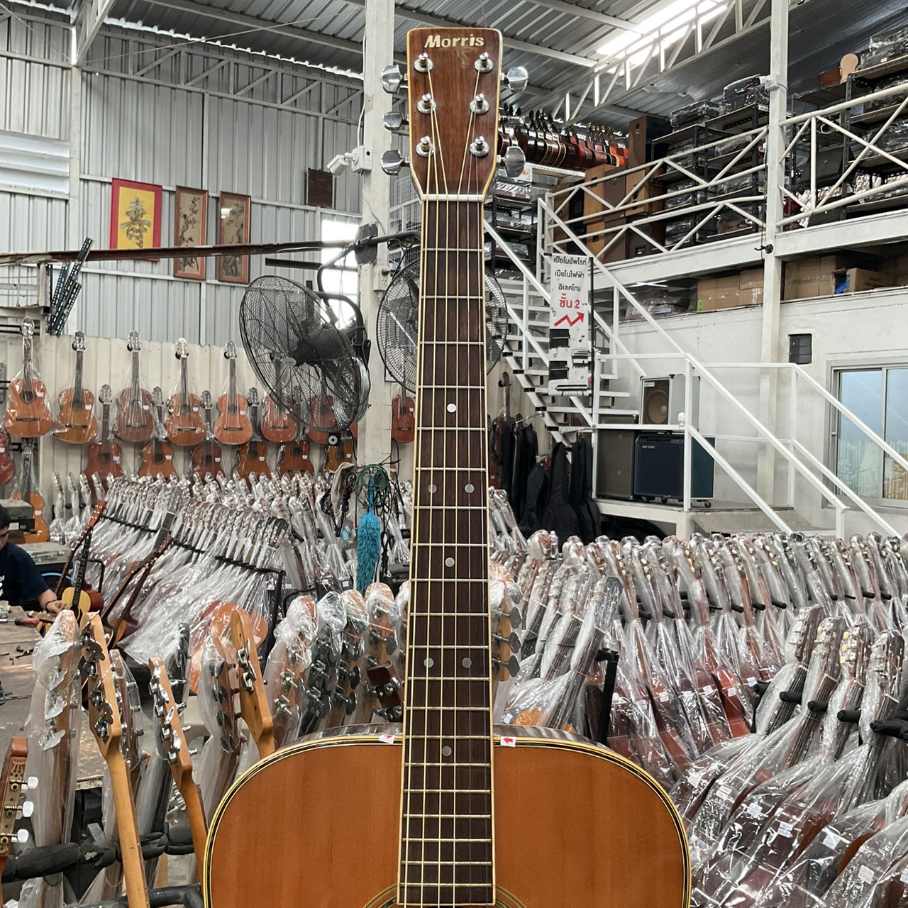 กีต้าร์โปร่ง Morris : W-30