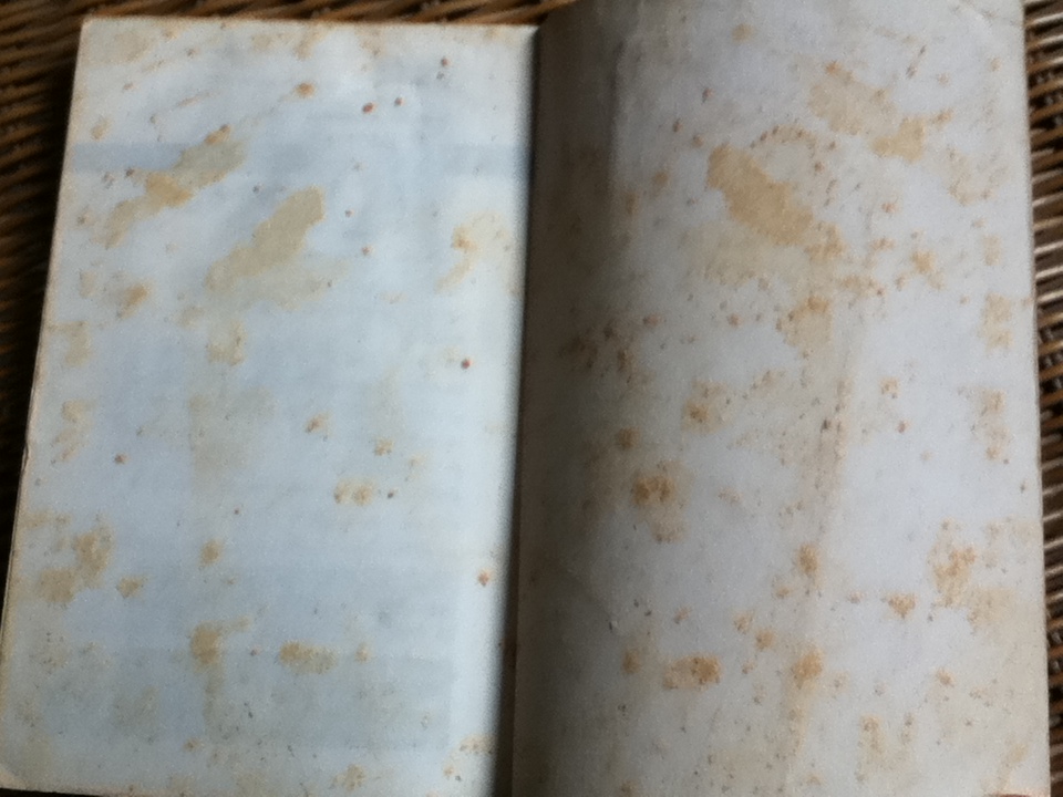 อยู่อย่างเซน/ ละเอียด ศิลาน้อย