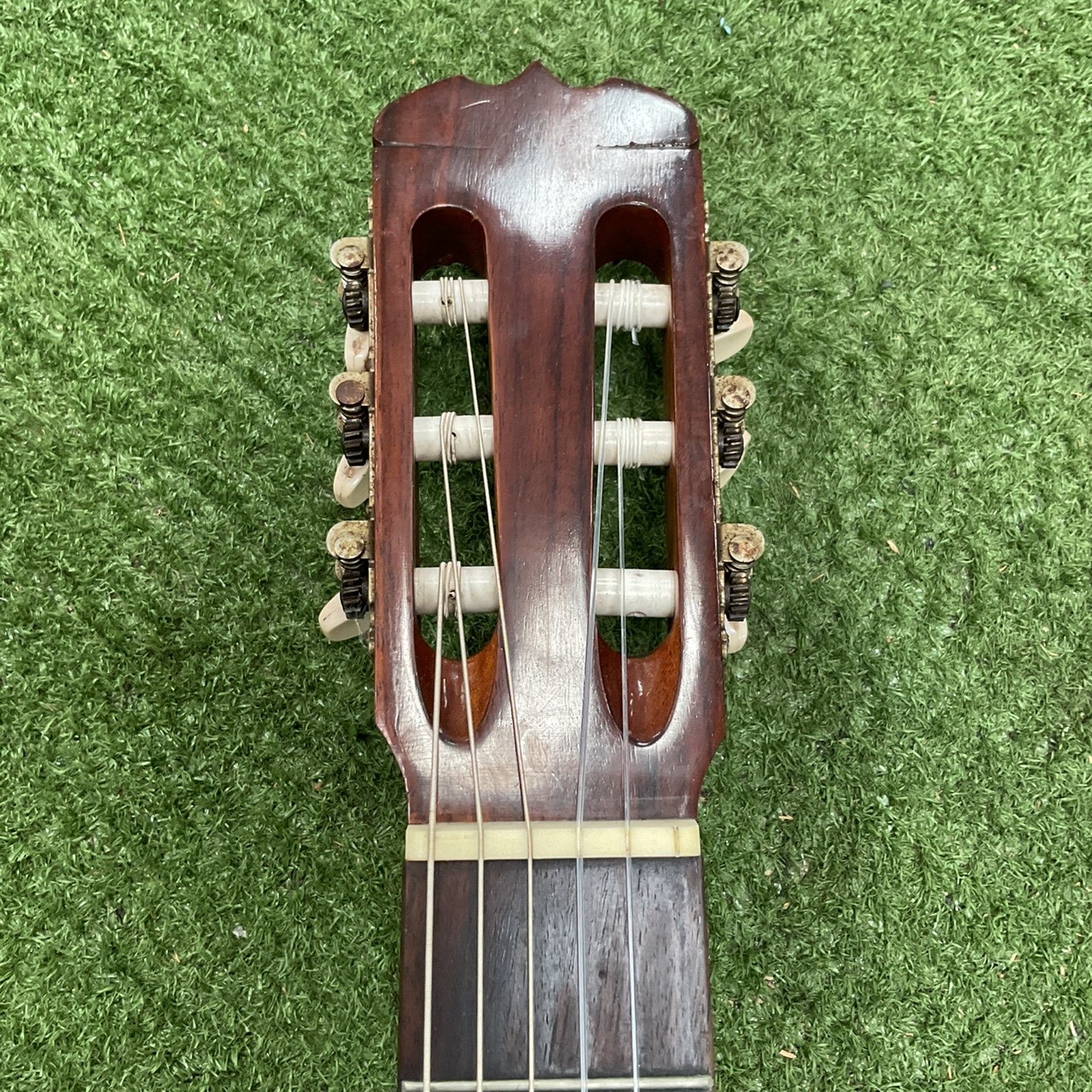 กีต้าร์คลาสสิค Frister : G