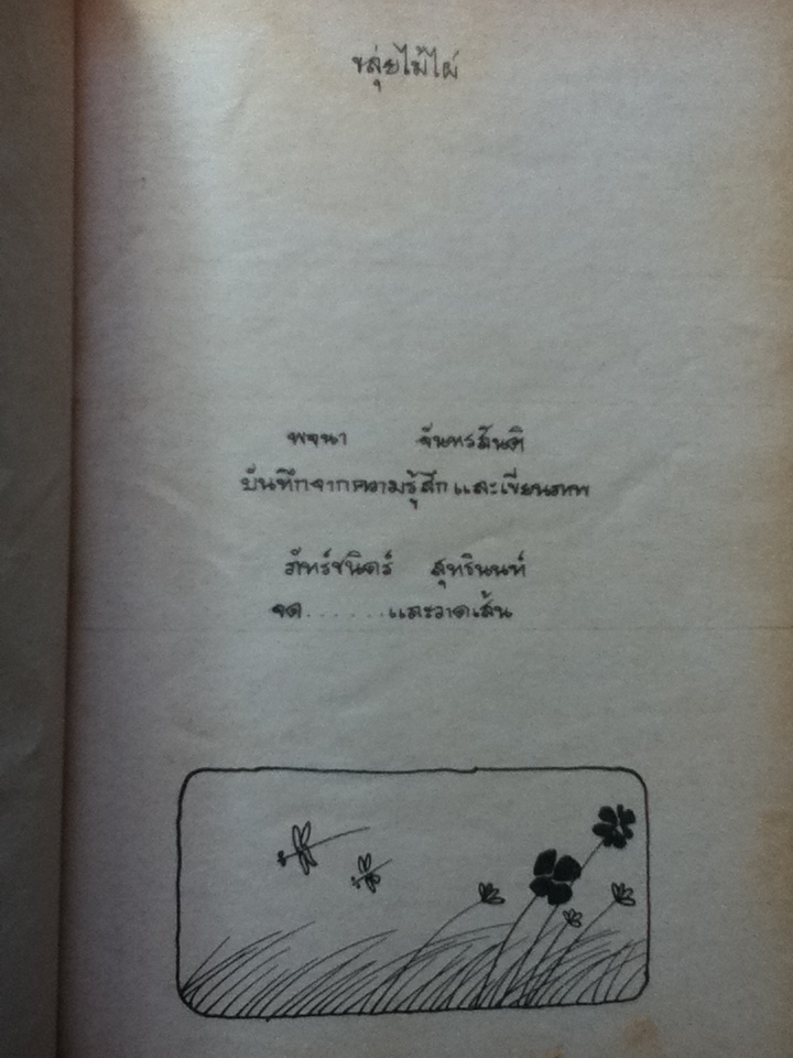 ขลุ่ยไม้ไผ่