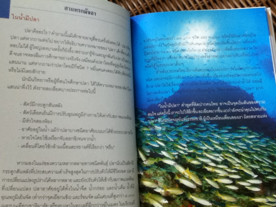 ปลาทะเลไทย เล่ม1 (พร้อมซีดีท่องทะเลชมปลา)/ ธรณ์ ธำรงนาวาสวัสดิ์ และคณะ แถม โครงการอุทยานใต้ทะเล จุฬาภรณ์36