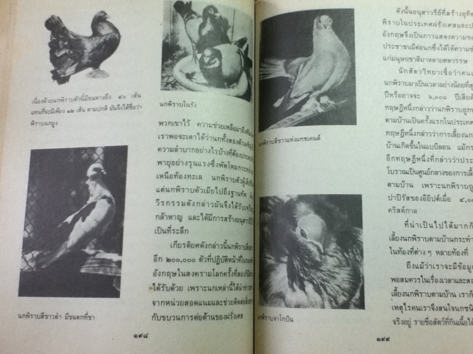 หนังสืออ่านเพิ่มเติมวิชาวิทยาศาสตร์ สัตว์มีประโยชน์/ ยูริ ดมิตริเยฟ