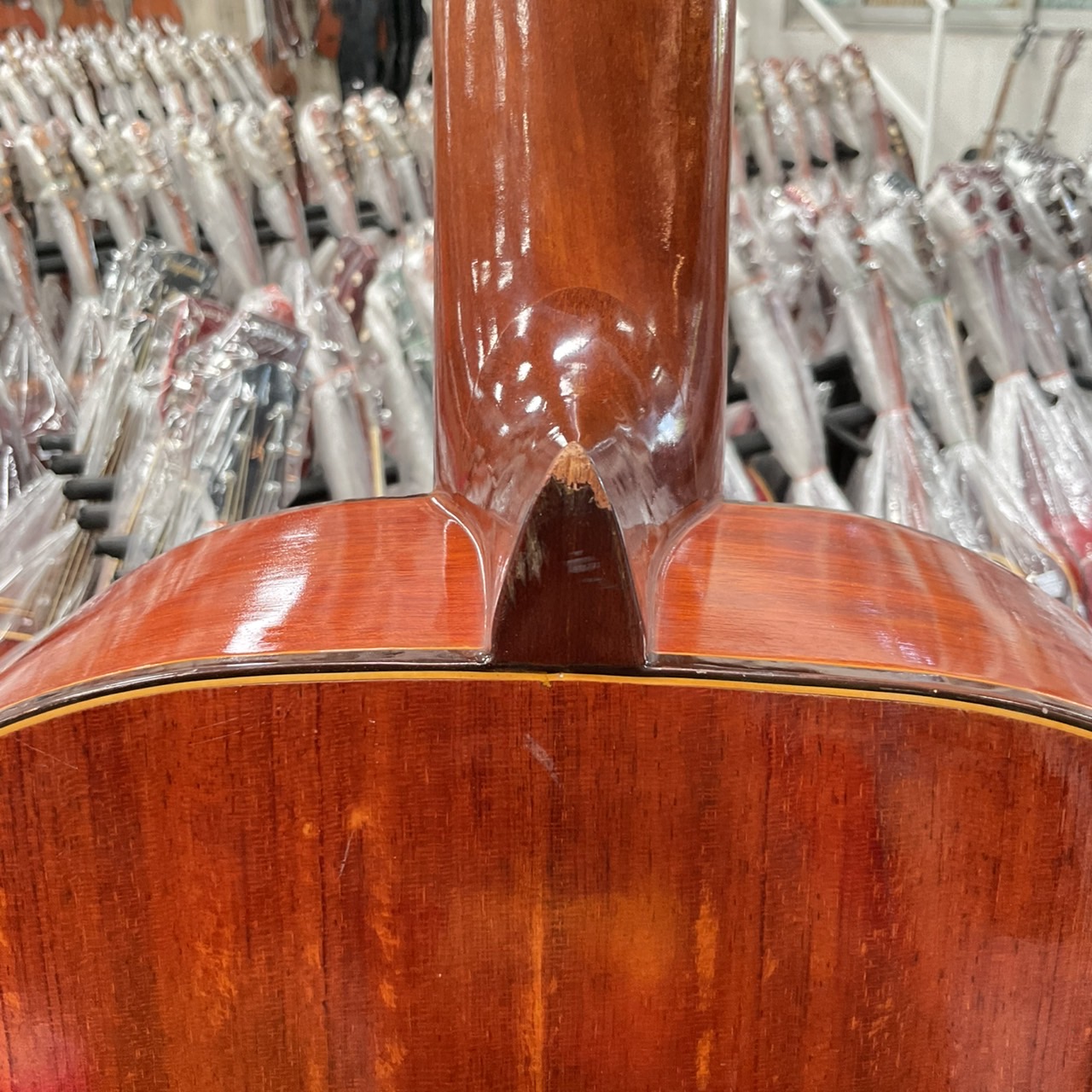 กีต้าร์คลาสสิค Abe Gut : 65A