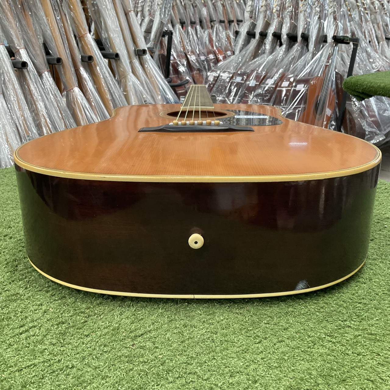 กีต้าร์โปร่ง Morris : W-20