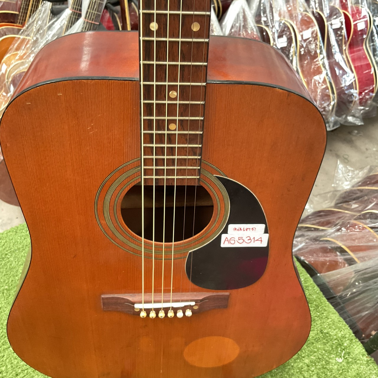 กีต้าร์โปร่ง Muse