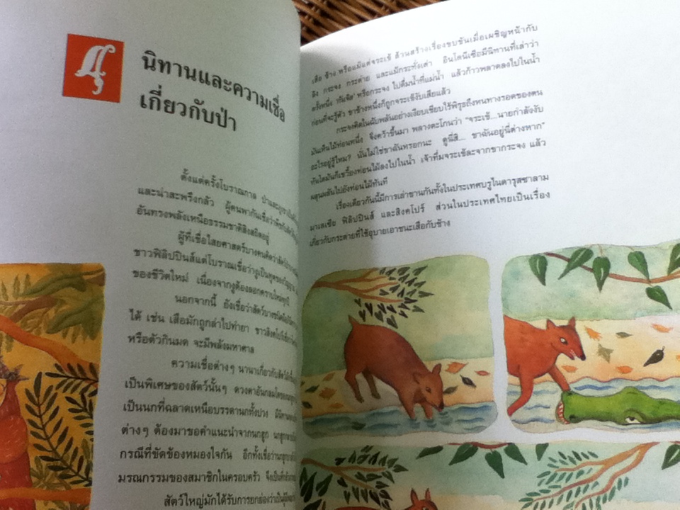 หนังสือส่งเสริมการอ่านสำหรับระดับประถมศึกษา ป่าไม้รอบตัวเรา Forest, Forest Everywhere