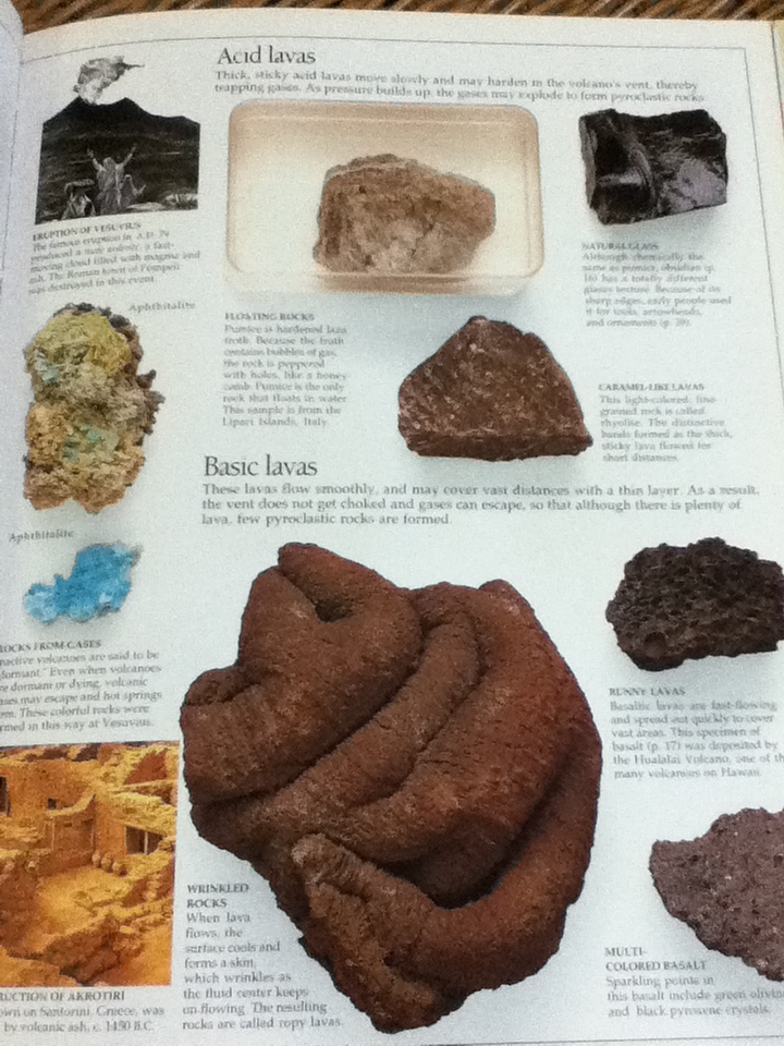 ROCKS & MINERALS (ปกแข็ง)