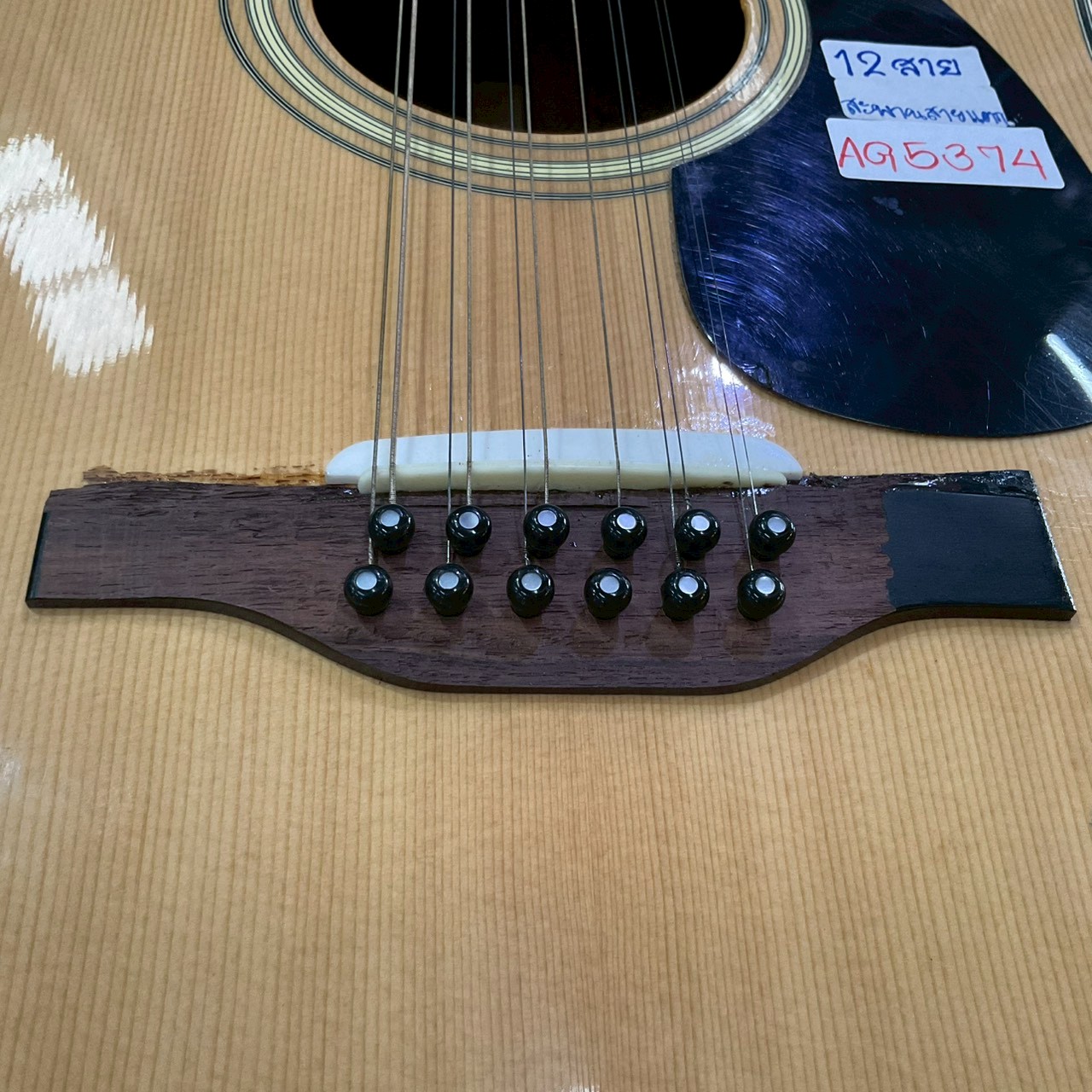 กีต้าร์โปร่ง Morris : B-30 - 12 สาย