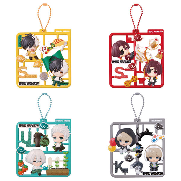 Plat Collection WIND BREAKER 4Pack BOX(Pre-order)