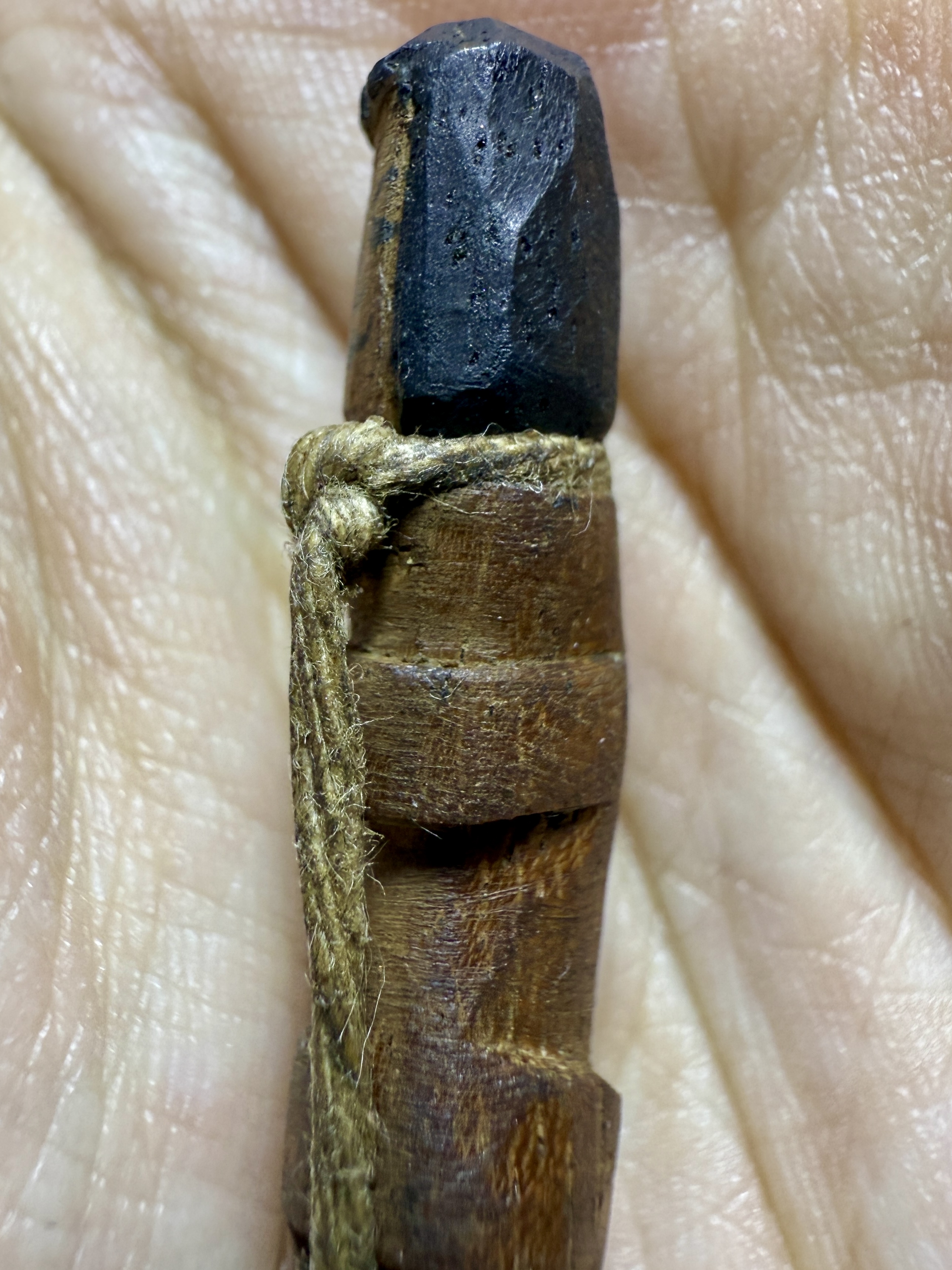 อิ้นไม้วัวลืมคอก Cow-Forget-Pen Inn-Kuu. SKU-03994