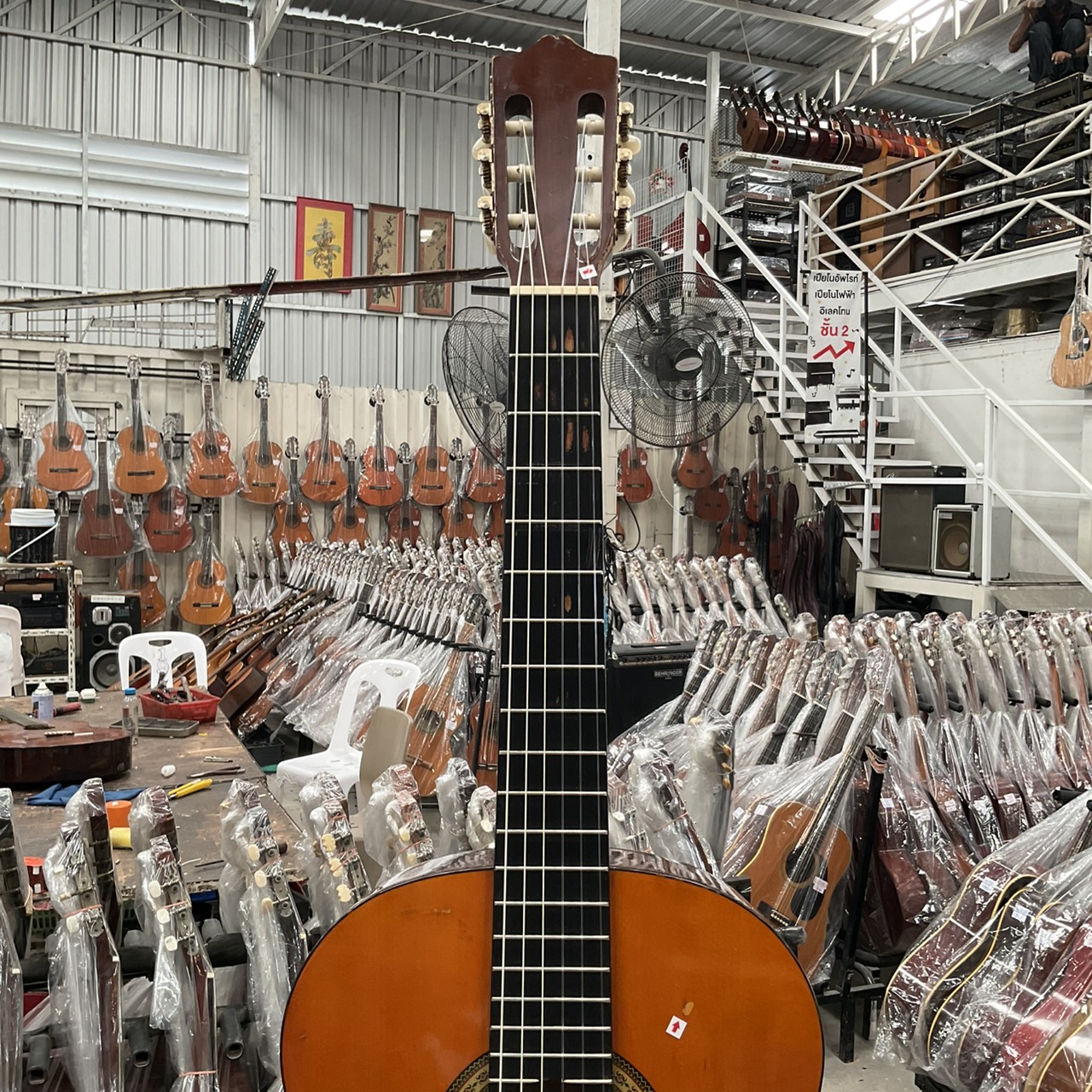 กีต้าร์คลาสสิค Serena : SG-O