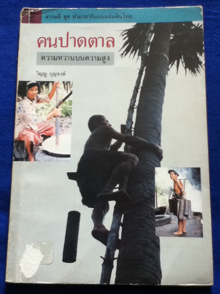 คนปาดตาล ความหวานบนความสูง