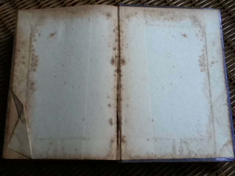 สาบควาย/ พ.ต.ท.ลิขิต วัฒนปกรณ์