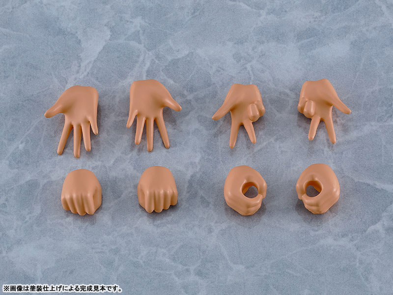 PLAMATEA Muse Body: Ichika C Type Plastic Model(Pre-order)