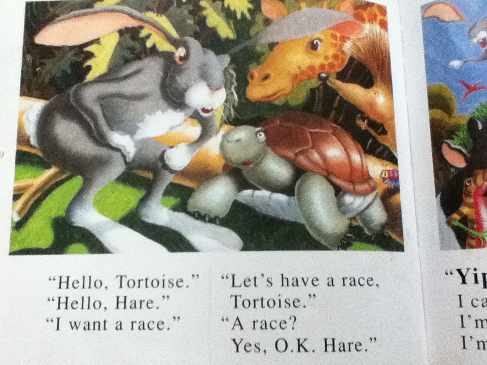 The Hare and the Tortoise