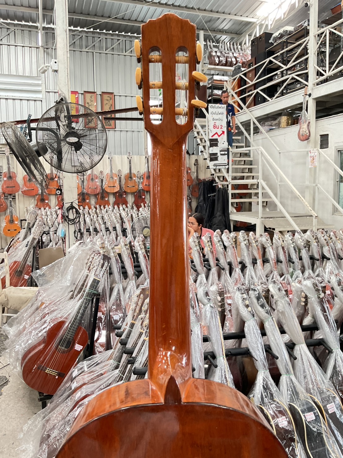 กีต้าร์คลาสสิค Zen-on Gut : No.50