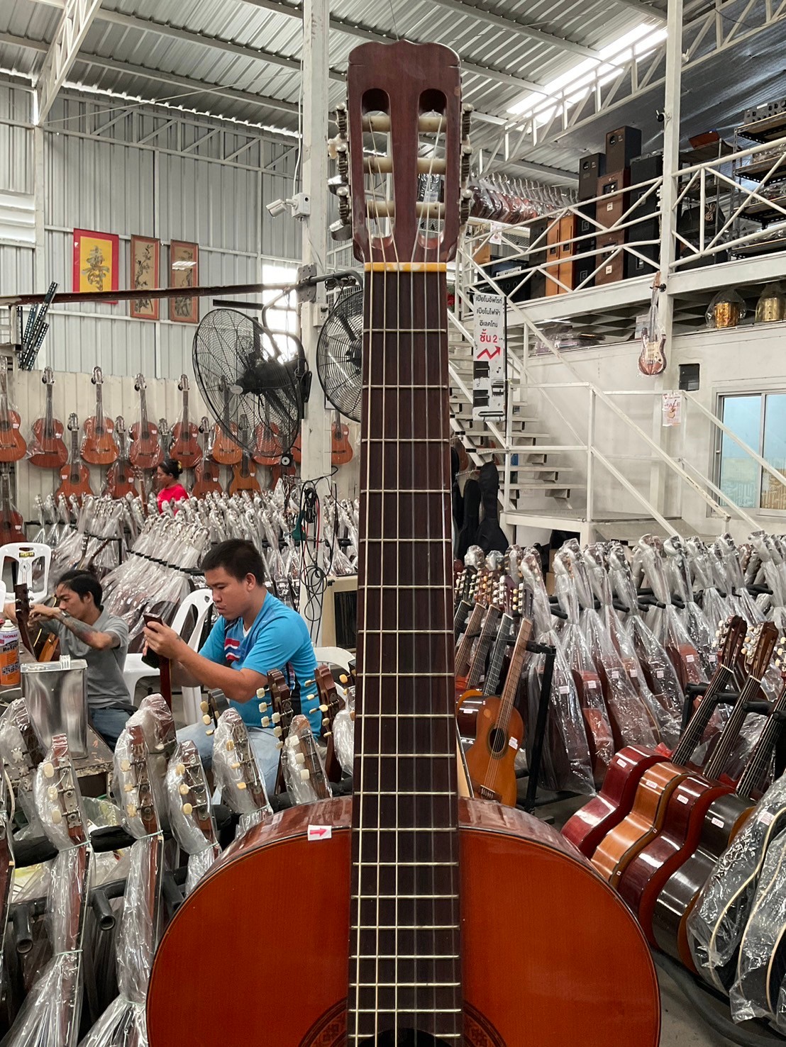 กีต้าร์คลาสสิค SUZUKI : C-13