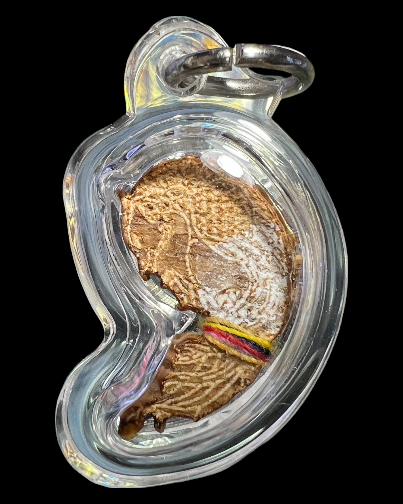 สาริกาปลาทอง (ตัวเล็ก) Goldfish Sarika. (small size) SKU-02918