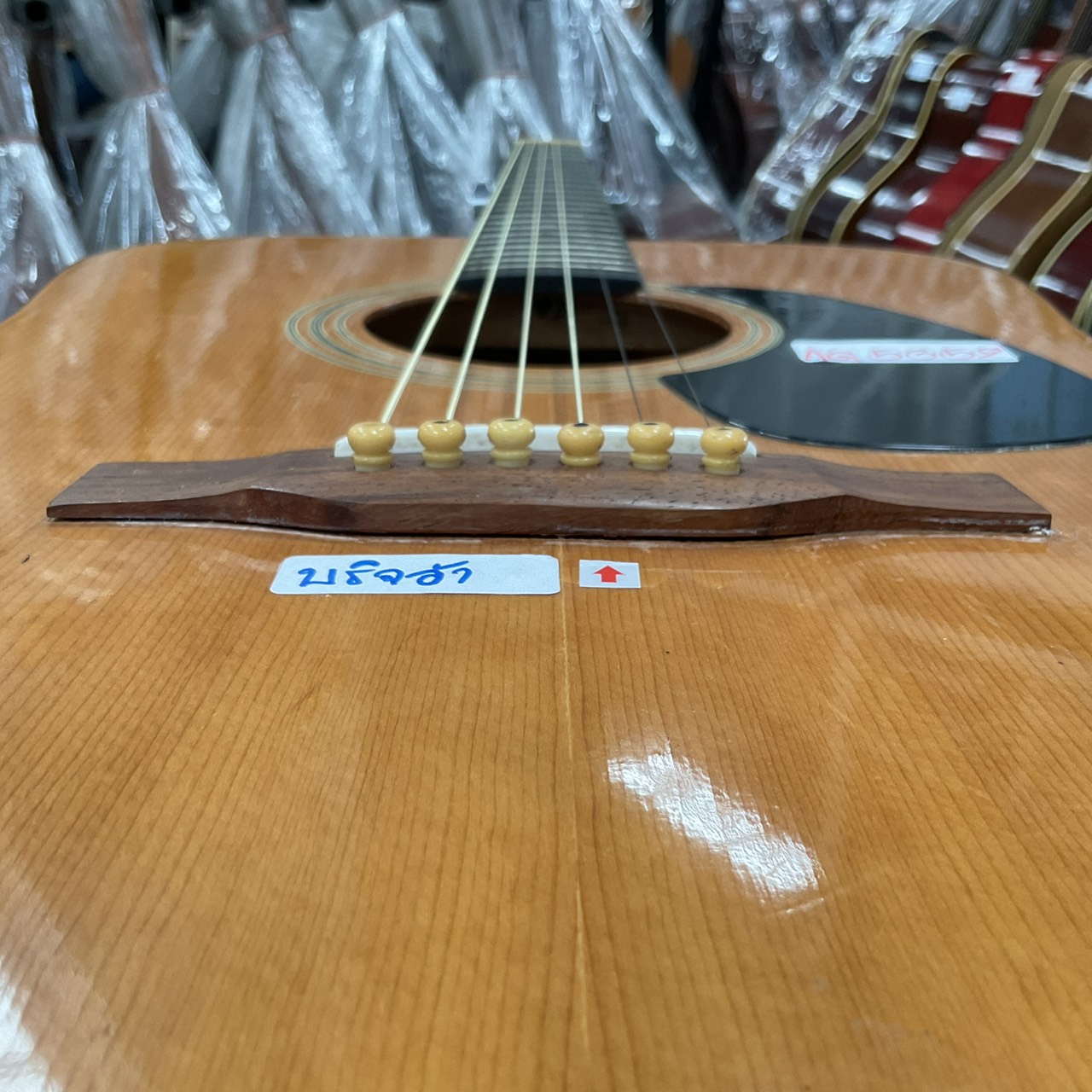 กีต้าร์โปร่ง Serena