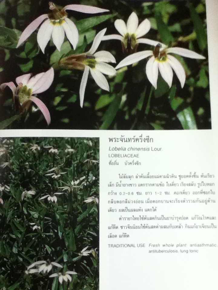 สารานุกรมสมุนไพร เล่ม 1 สมุนไพรสวนสิรีรุกขชาติ/ รศ.ดร.วงศ์สถิตย์ ฉั่วกุล และคณะ