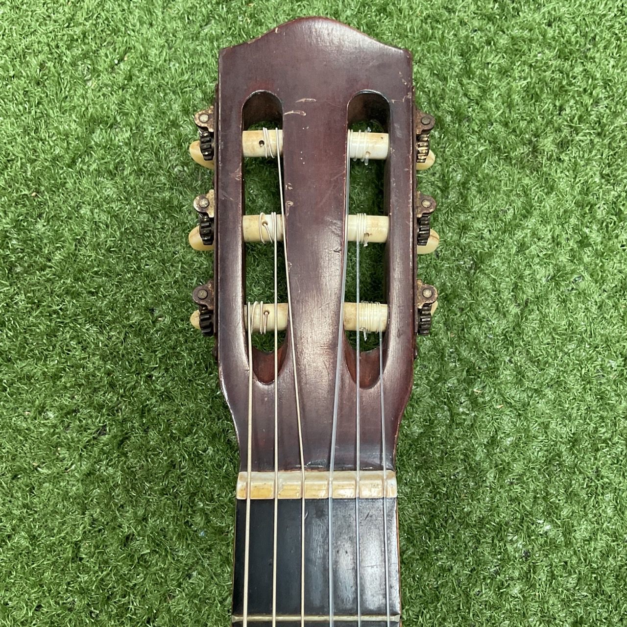 กีต้าร์คลาสสิค Azalea