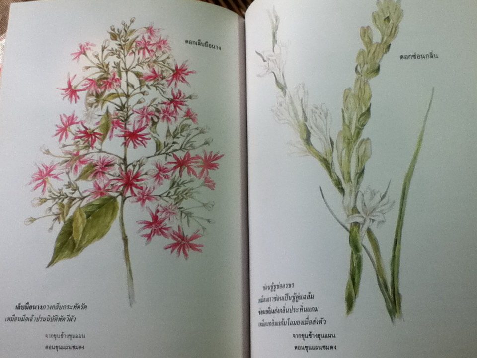 งามพรรณบุปผาสุมามาลย์ ในพระราชนิพนธ์พระบาทสมเด็จพระพุทธเลิศหล้านภาลัย