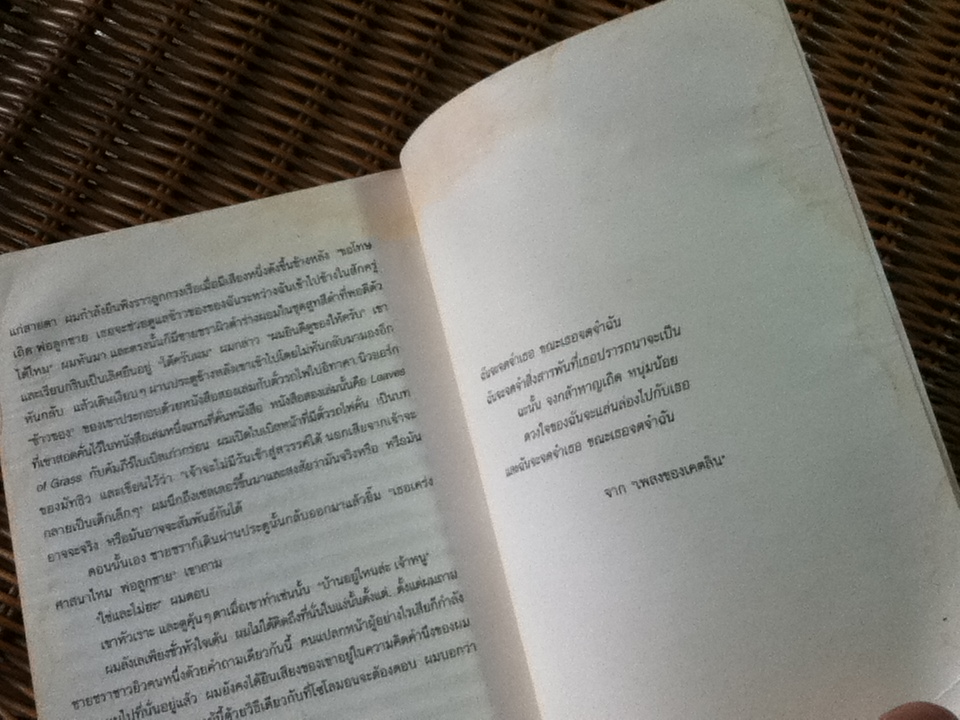 เดอะเม็ก เผ่าพันธ์ุอมตะ/ สตีฟ แคช