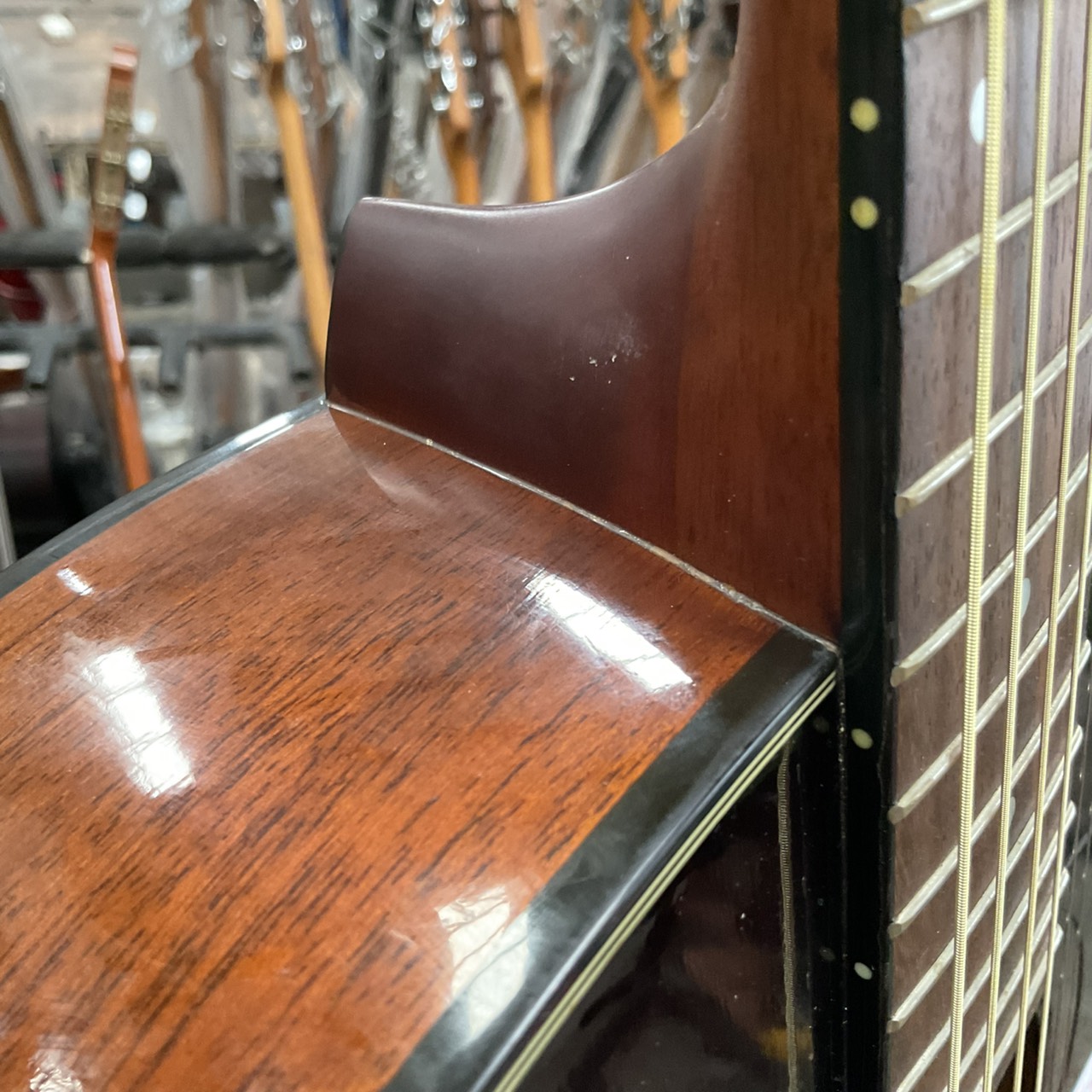 กีต้าร์โปร่ง Morris : MF-208