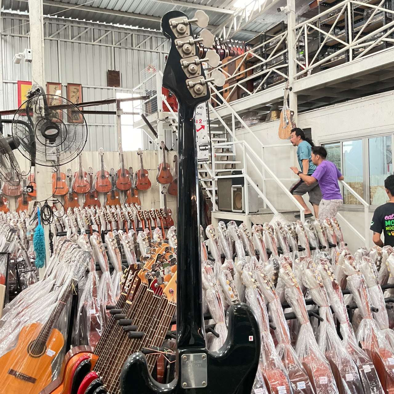 กีต้าร์เบส FERNANDES : LIMITED EDITION