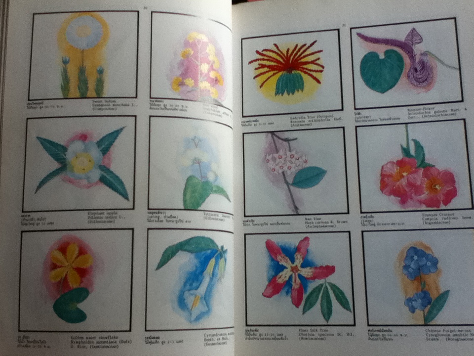 พจนานุกรมไม้ดอกไม้ประดับในเมืองไทย เล่ม 1-2/ ดร.วิทย์ เที่ยงบูรณธรรม