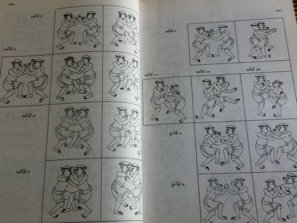 ศิลปะมวยไทย