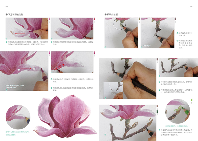 (Pre-order) หนังสือสอนระบายสีไม้ภาพดอกไม้ PAINTING WITH COLORED PENCIL