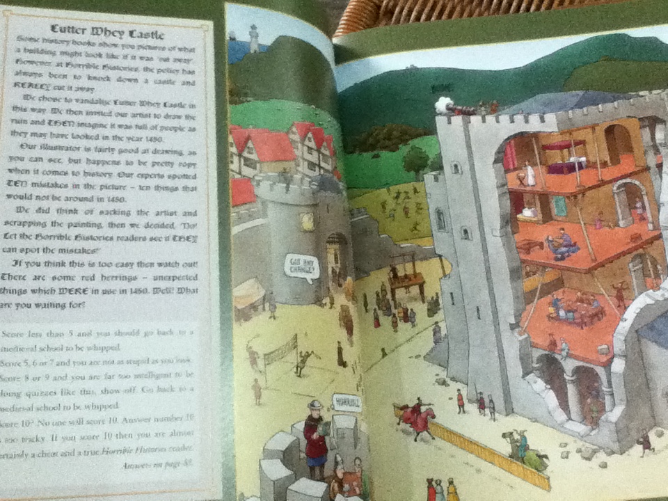 HORRIBLE HISTORIES THE WICKED HISTORY OF THE WORLD/ Terry Deary