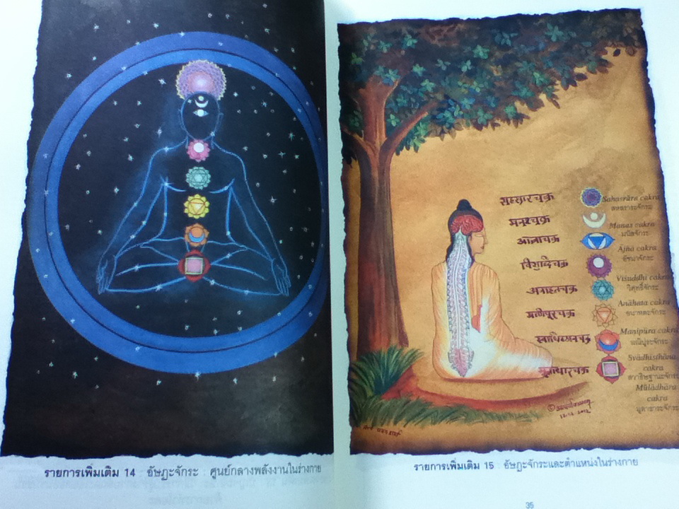 ศาสตร์แห่งอายุรเวท/ อัคชาร์ยะ บัลกฤษณะ