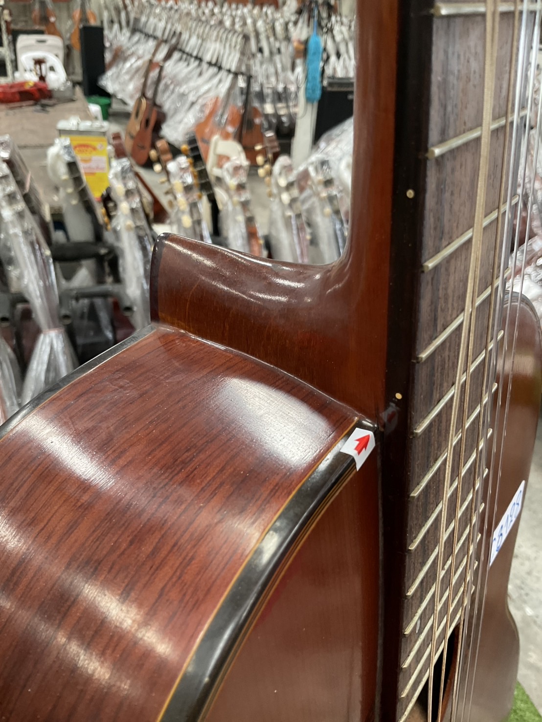 กีต้าร์คลาสสิค Abe Gut : 65s