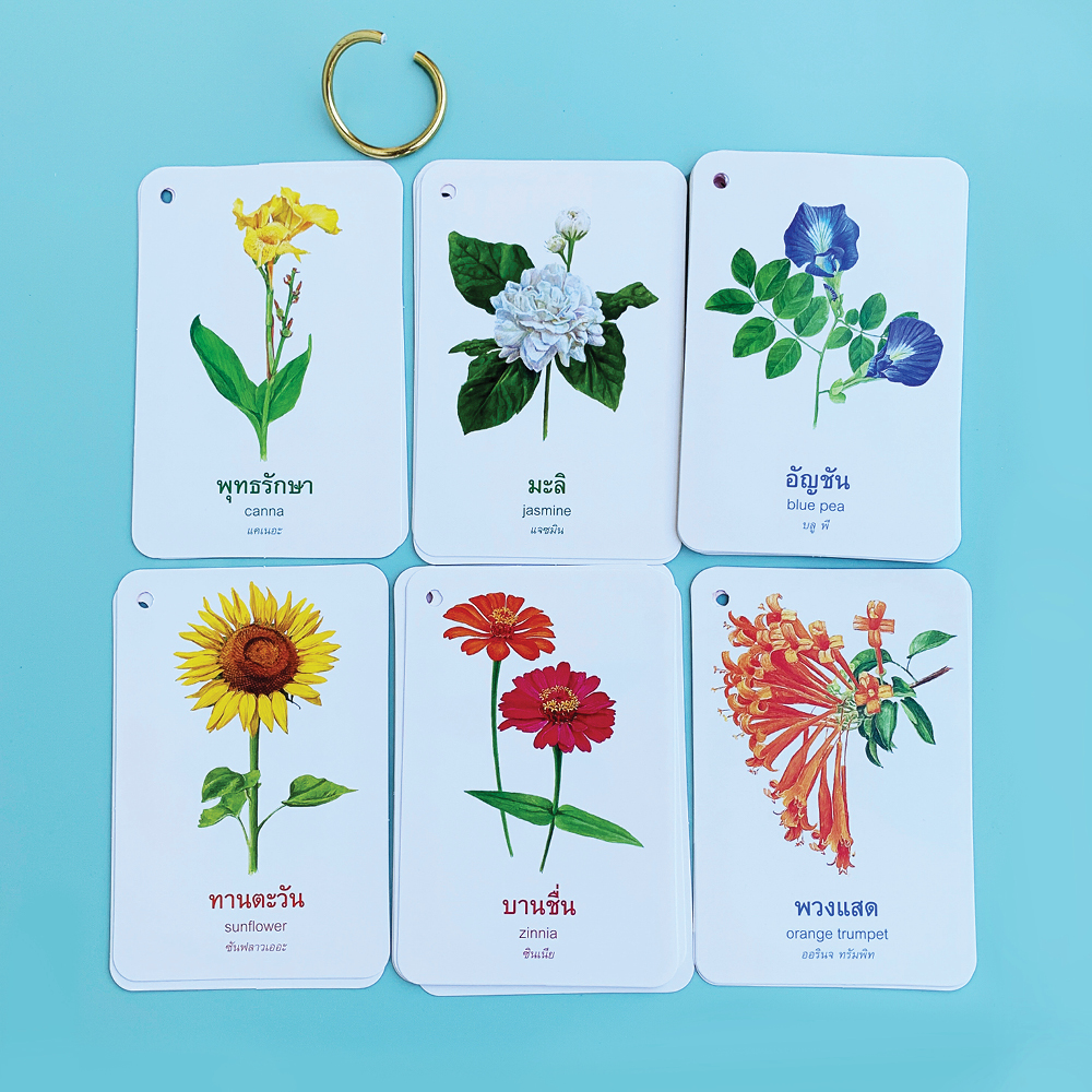 Book World Flash Card บัตรภาพ ดอกไม้แสนสวย แถมห่วงคล้อง