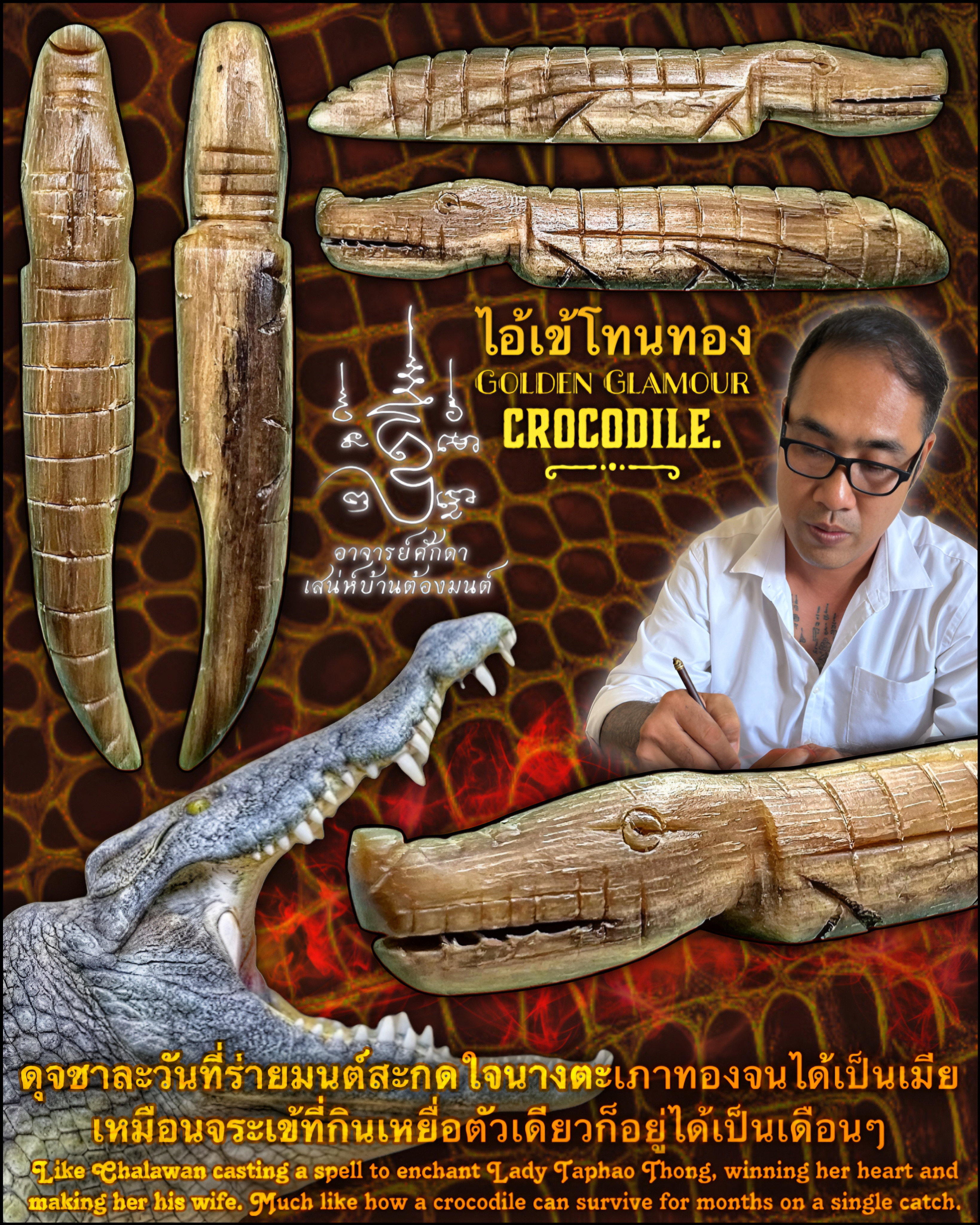 ไอ้เข้โทนทอง Golden Glamour Crocodile. SKU-03800