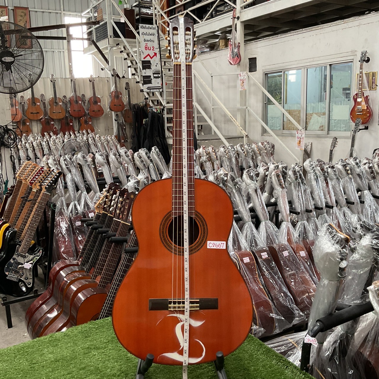 กีต้าร์คลาสสิค YAMAHA : G-70D