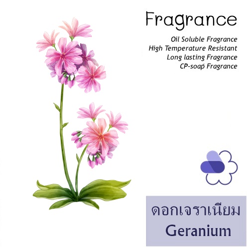 Geranium หัวน้ำมันหอม ดอกเจราเนียม Smooth Fresh Floral กลิ่นหอมสดชื่น สุขุม เรียบง่าย ละลายในน้ำมัน ทนความร้อนสูง ไม่เร่งเทรซ COA