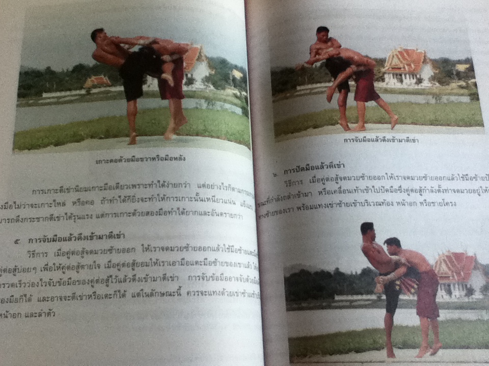 ศิลปะมวยไทย