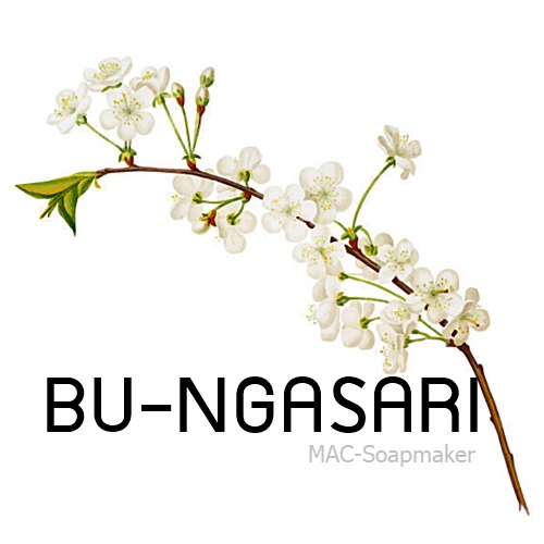 BU-NGASARI / น้ำมันหอม บุหงาสาหรี่ แนวกลิ่น Flower powdery